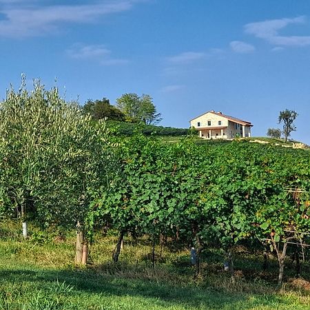 Agriturismo Riva Beata 卡瓦索德图巴 外观 照片