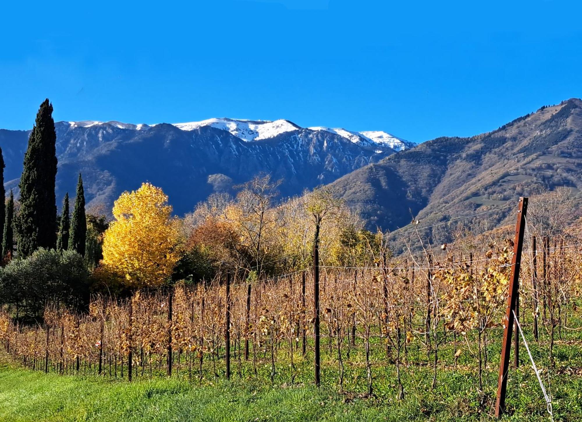 Agriturismo Riva Beata 卡瓦索德图巴 外观 照片