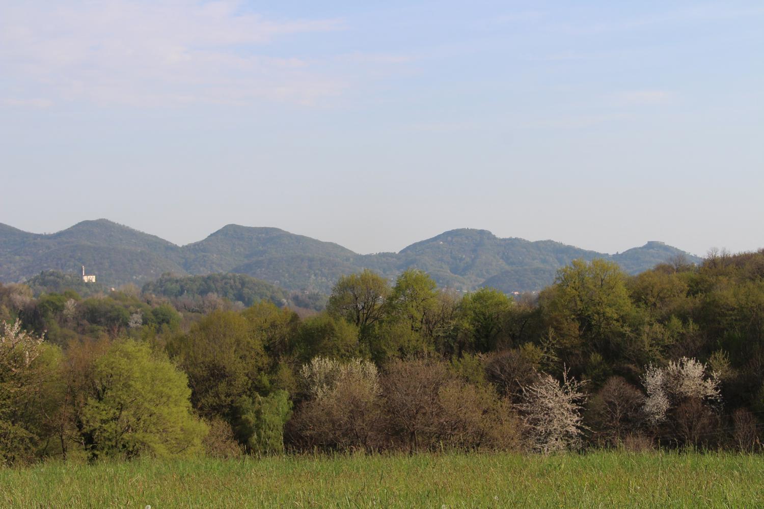 Agriturismo Riva Beata 卡瓦索德图巴 外观 照片