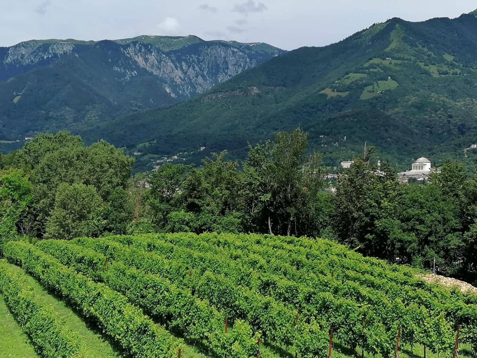 Agriturismo Riva Beata 卡瓦索德图巴 外观 照片